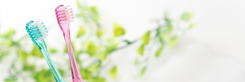 カンファークリニックの歯のメインテナンス